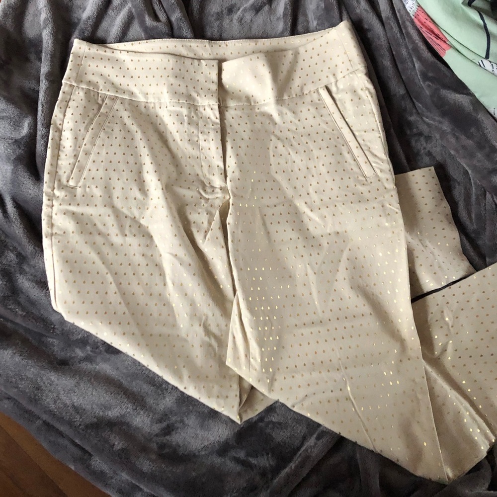 Lane Bryant Pants